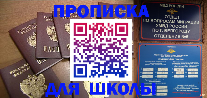 прописка гарантия в Димитровграде